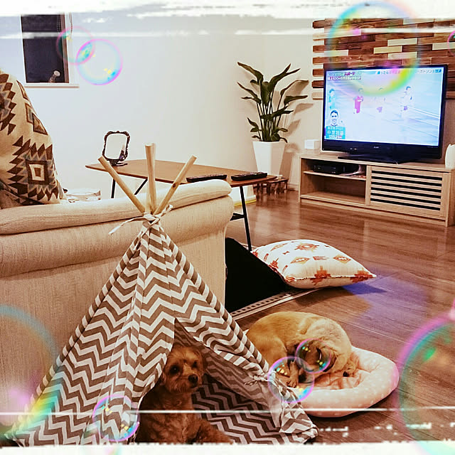 anazuさんの実例写真