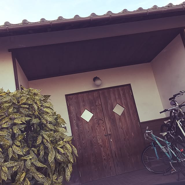 実例写真