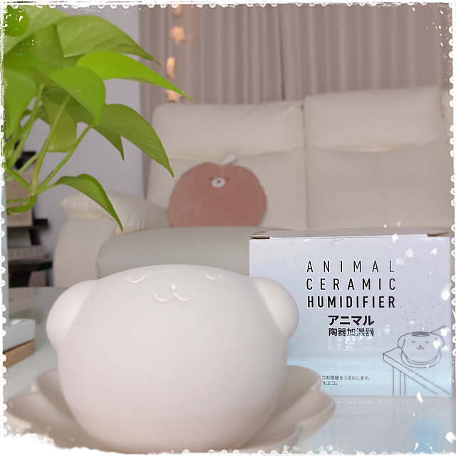 エコな癒し/アニマル陶器加湿器/RCの出会いに感謝♡/いつもいいねやコメありがとうございます♡/見てくれてありがとうございます♡...などのインテリア実例 - 2020-11-07 16:41:48