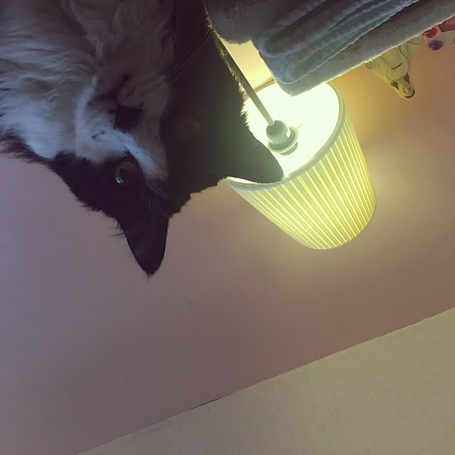kanaさんの実例写真