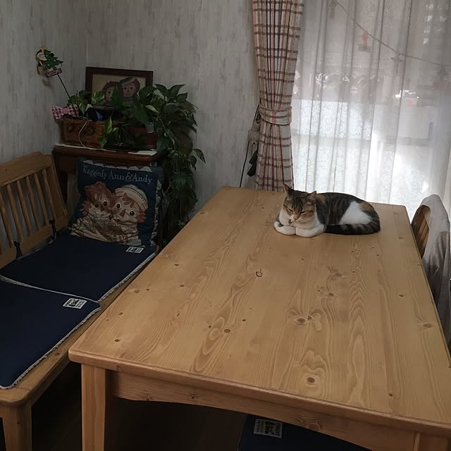 neesan-ishiharaさんの実例写真