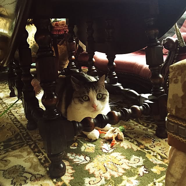 emmyyさんの実例写真