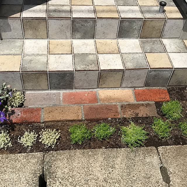 ojijiさんの部屋