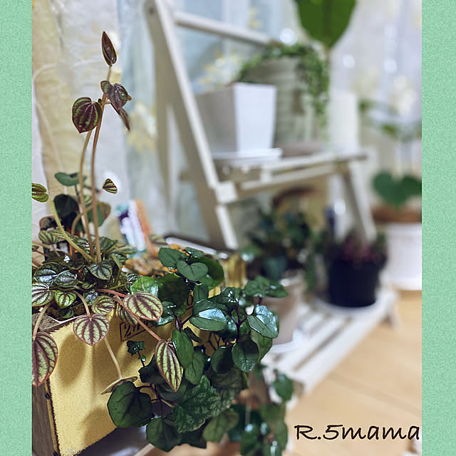 R.5.mamaさんの実例写真