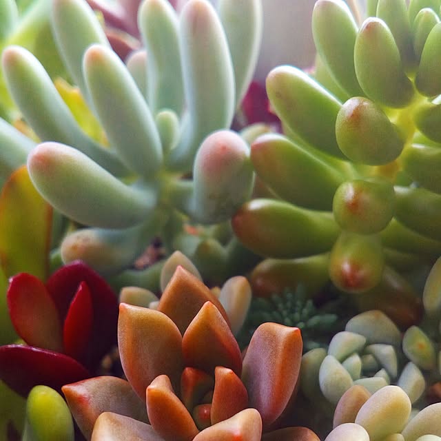 VERANDARJUNさんの実例写真