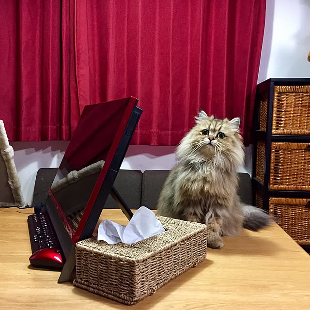 butachanさんの実例写真