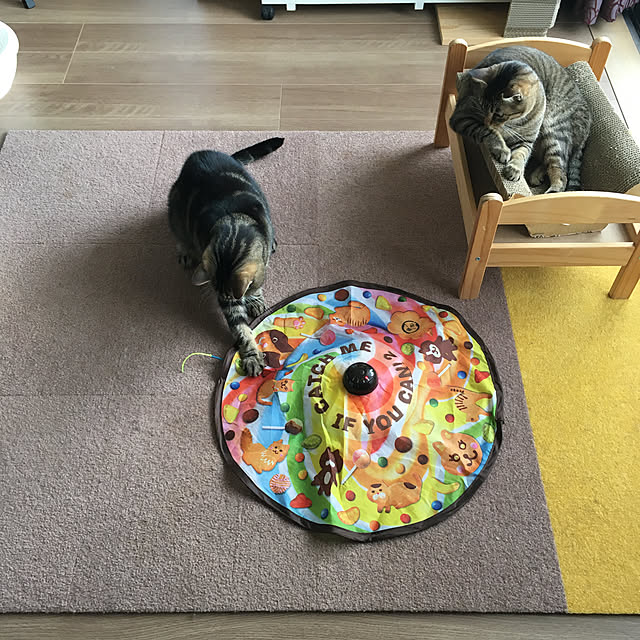 mikomaruさんの実例写真