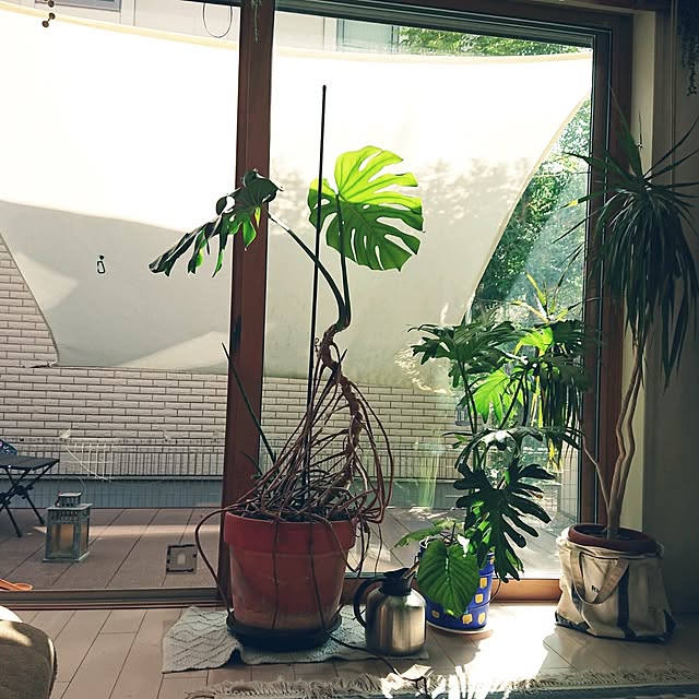 urchinさんの実例写真