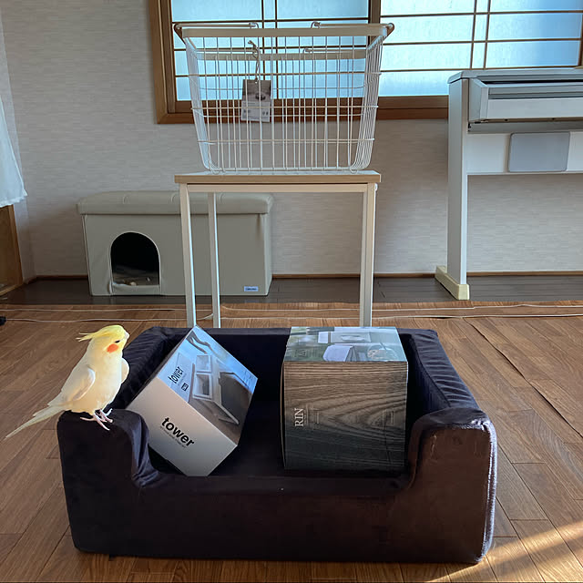 toratanさんの実例写真