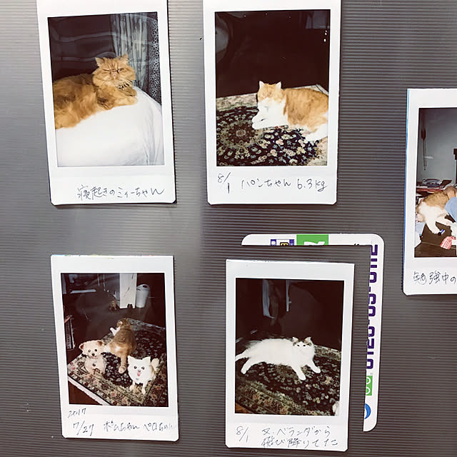 sachiさんの実例写真