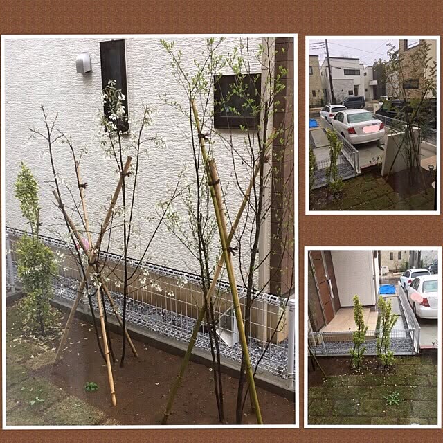 Apple222さんの実例写真