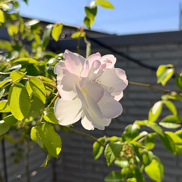 nuruiさんの部屋