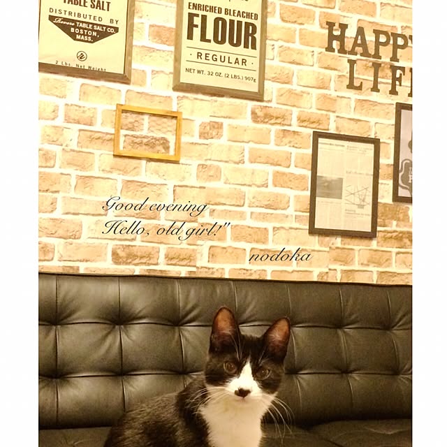 nodokaさんの実例写真