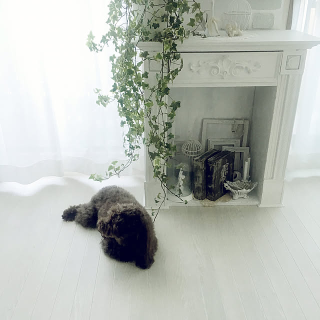 noelさんの実例写真