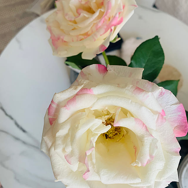 tyさんの実例写真