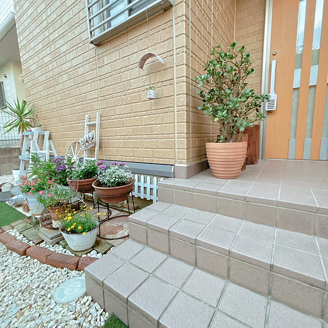 moolさんの実例写真