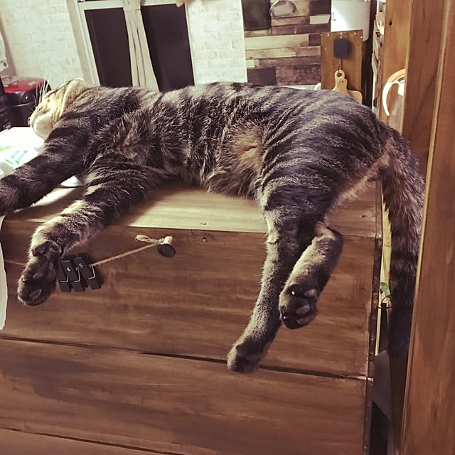 konnakanjiさんの実例写真