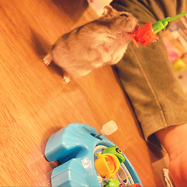 ohanaさんの実例写真