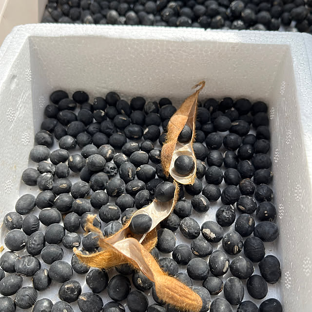 cotaさんの実例写真