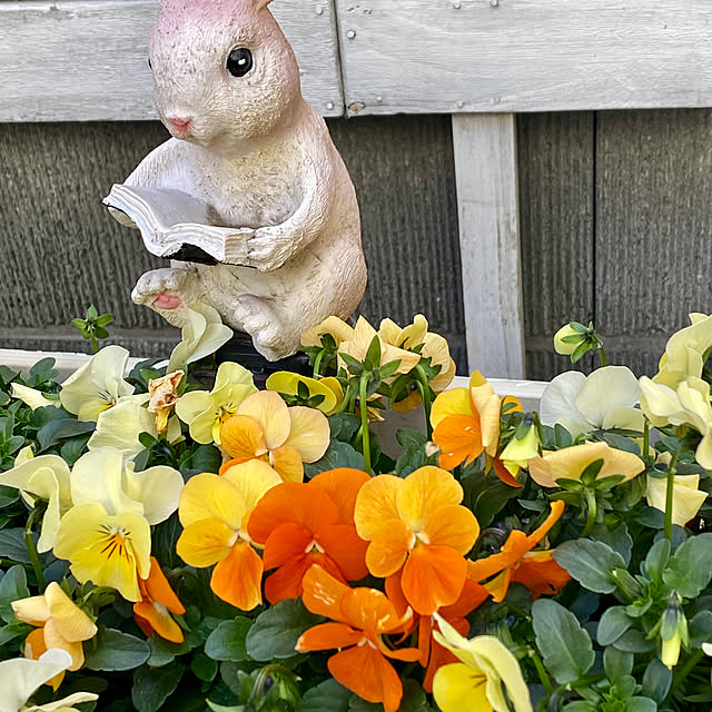 YuuKoさんの部屋