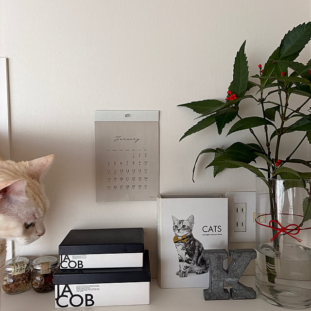 hiyupan88さんの実例写真