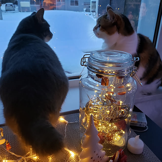 megu.catさんの実例写真