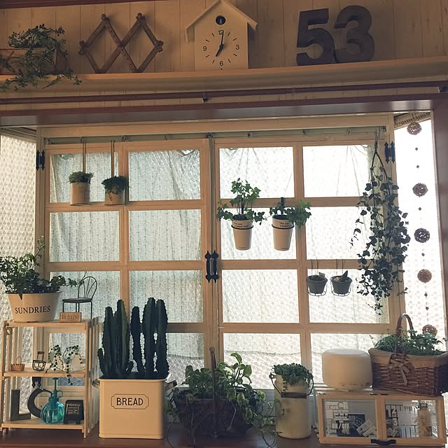 RURULOVEさんの実例写真