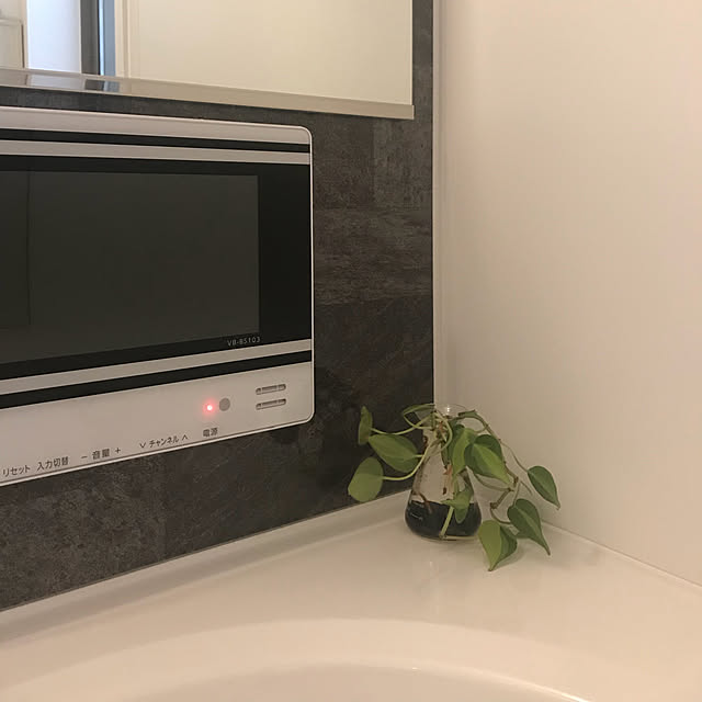 バス/トイレ/観葉植物のインテリア実例 - 2018-07-08 16:09:52