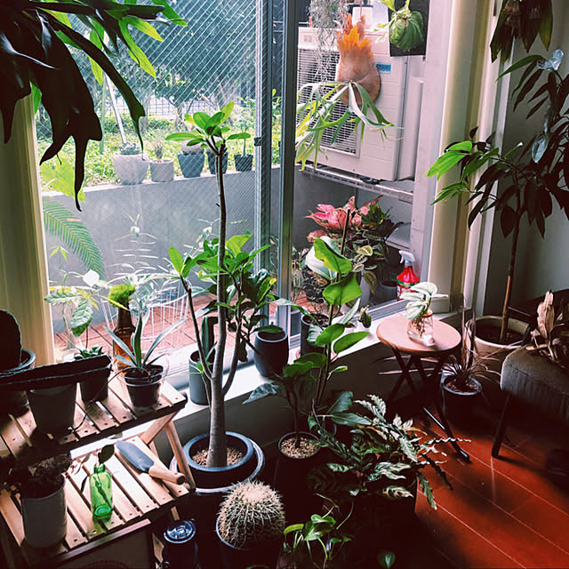 hiroki_tkgさんの実例写真