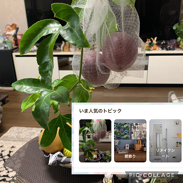 Aqettyさんの実例写真