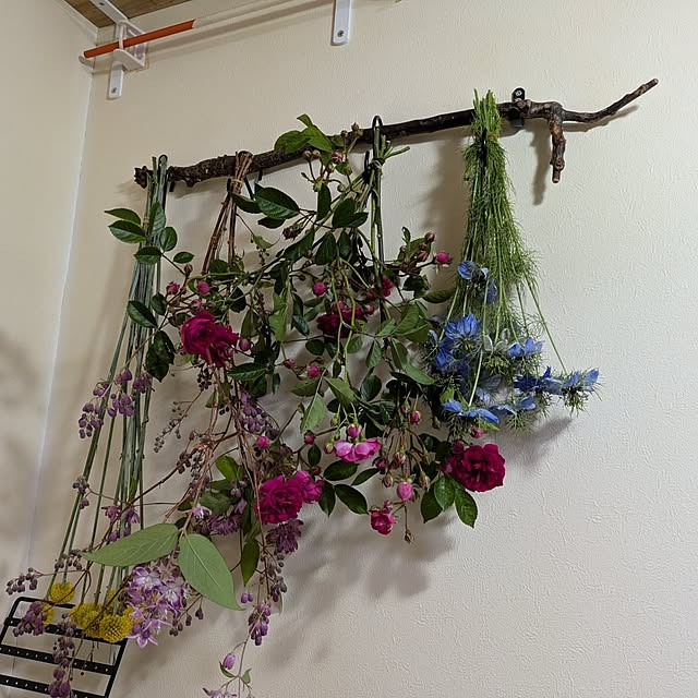 asaさんの部屋