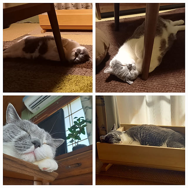 rhuさんの実例写真