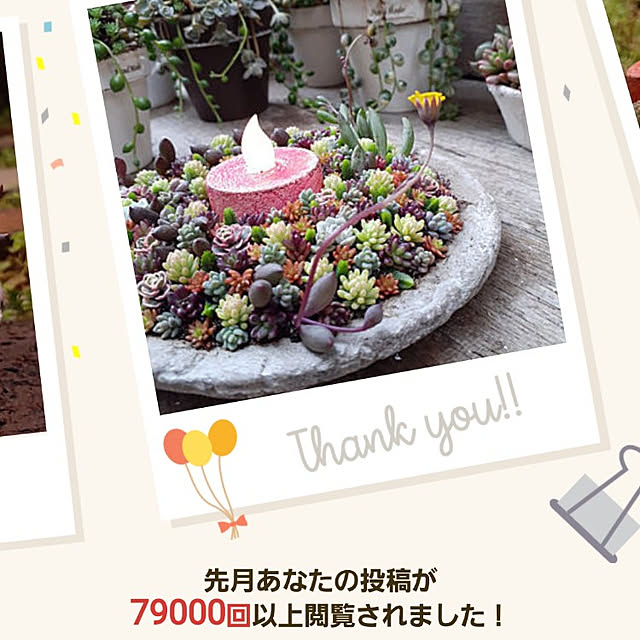 amtさんの実例写真