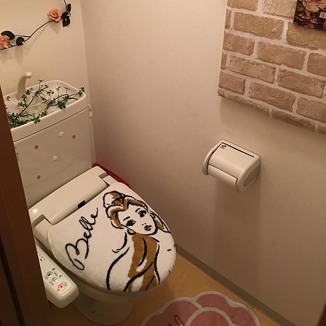 Ayamagakireiさんの実例写真
