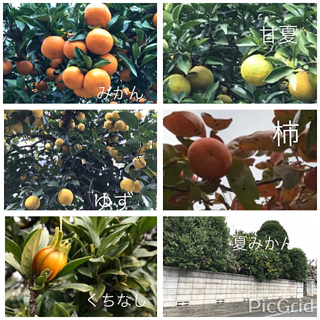 m.kantoh18_mikkoさんの実例写真