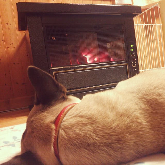 Takeshiさんの実例写真
