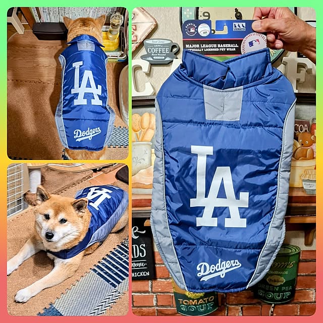 nanaさんの実例写真