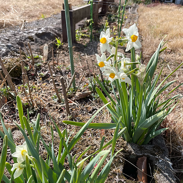 natsumiさんの部屋