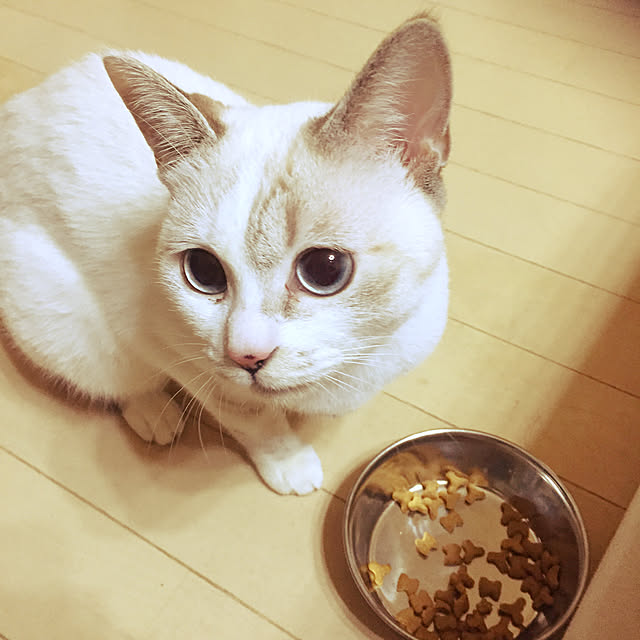 atsu31さんの実例写真