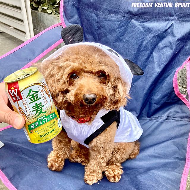 MOMOMAMAさんの実例写真