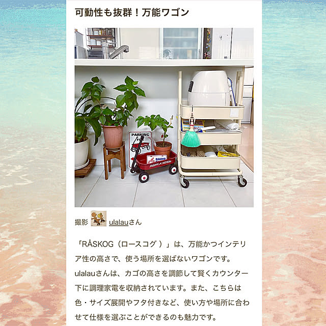 実例写真