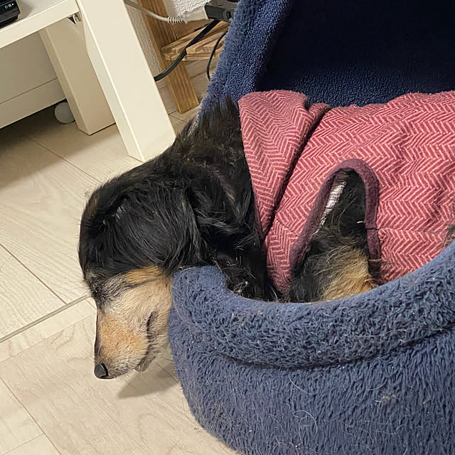 ohanaさんの実例写真