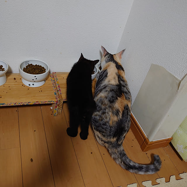 shinobuさんの実例写真