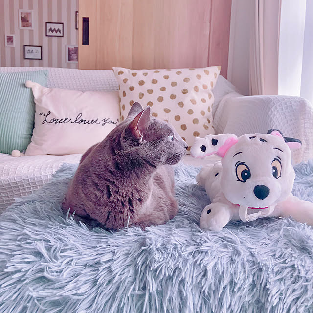 snoopyさんの部屋