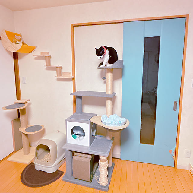 moolさんの部屋