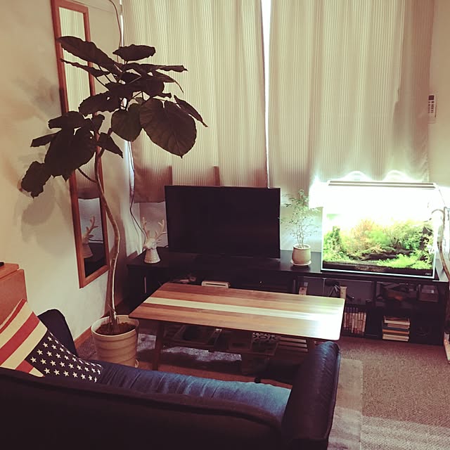 部屋全体のインテリア実例 - 2016-07-21 21:21:30