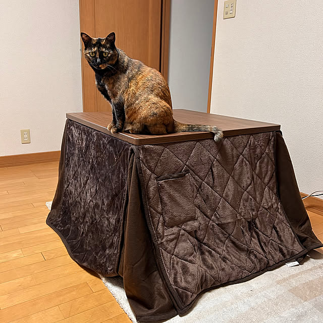 cocoさんの実例写真