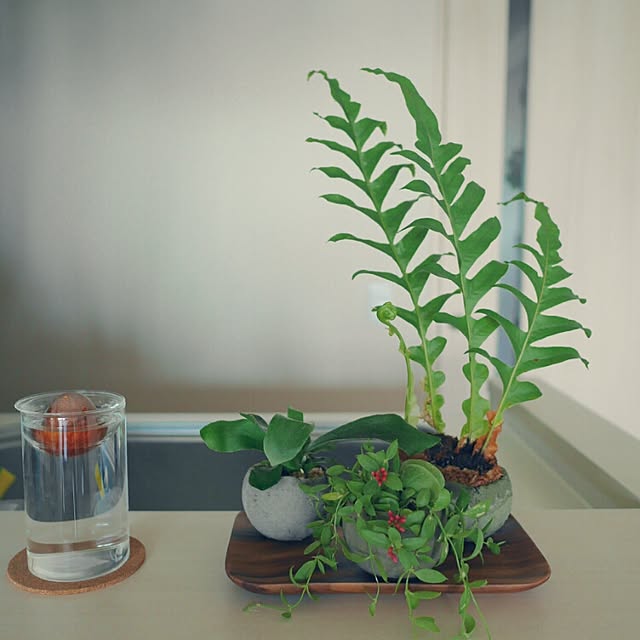 abeさんの実例写真