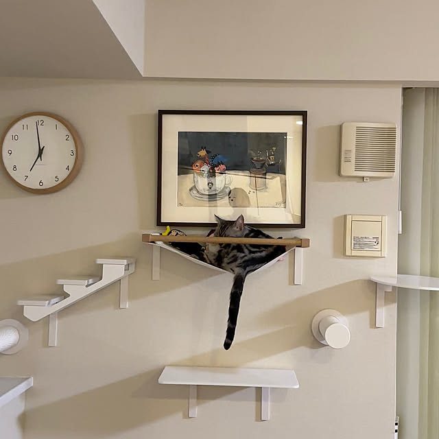 Yuki_with_a_tailさんの実例写真