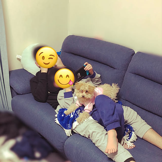 s0213さんの実例写真